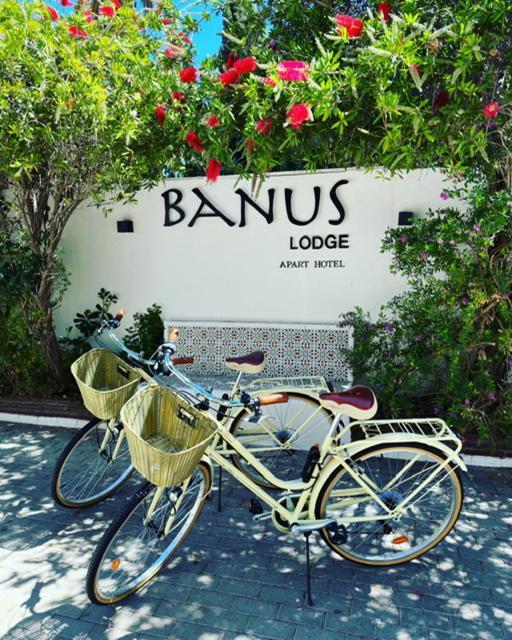 Banus Lodge マルベーリャ エクステリア 写真