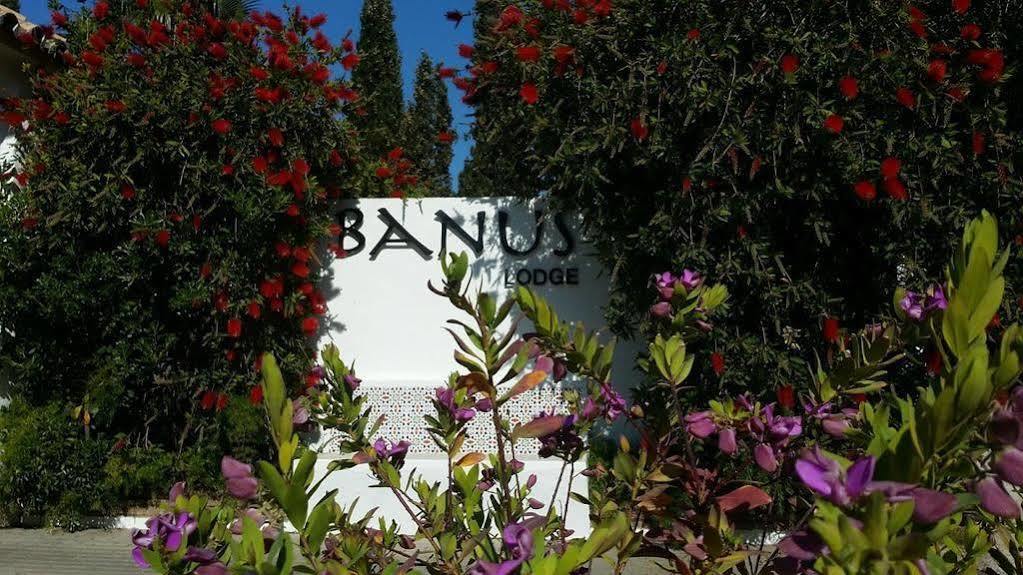 Banus Lodge マルベーリャ エクステリア 写真